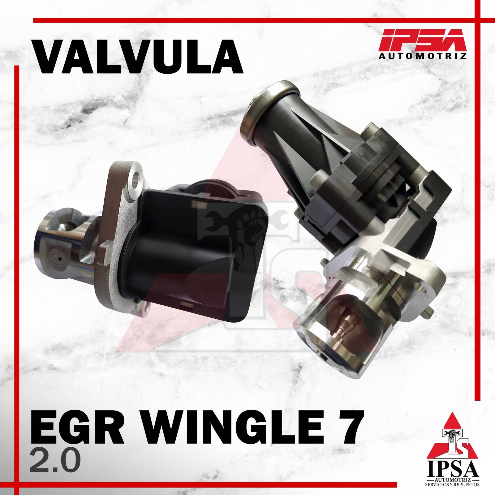 Egr Wingle 7